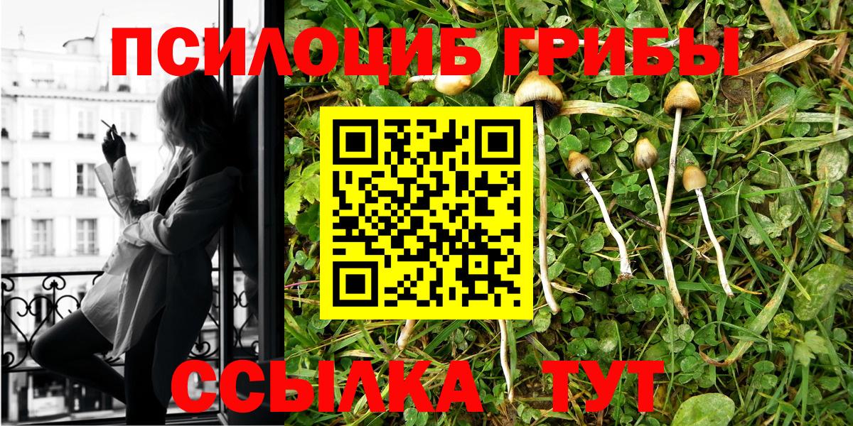 сколько стоит  Вход с VPN  Спасск-Дальний  Псилоцибиновые грибы MAGIC MUSHROOMS 